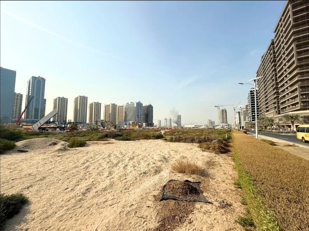Land For Sale Specialists in Dubai